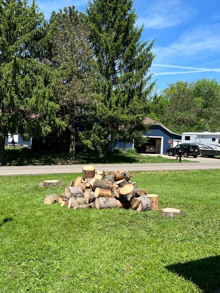 svc3 tree cutting