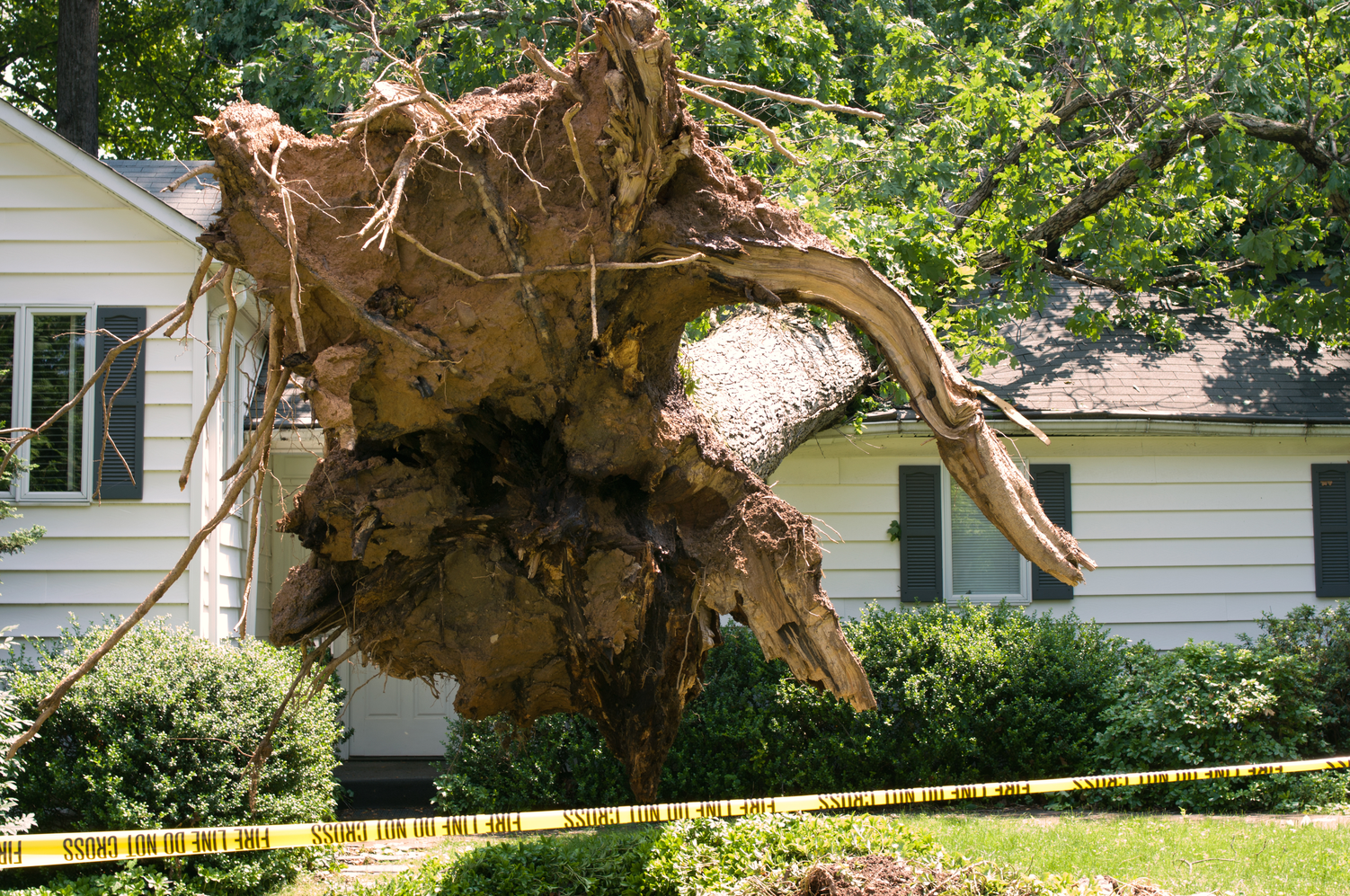svc4 storm damage